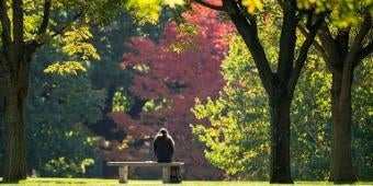 Student on campus in the fall