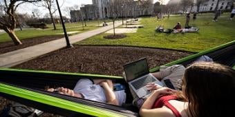 Students studying in a hammock